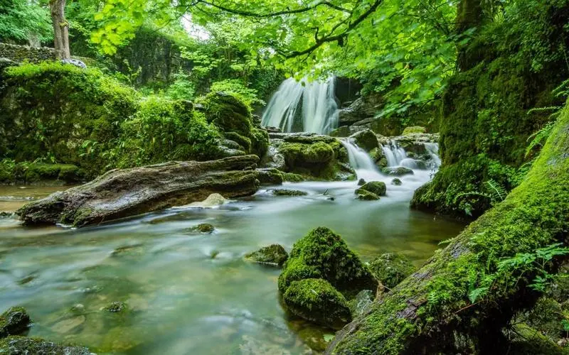 高标准智能独特